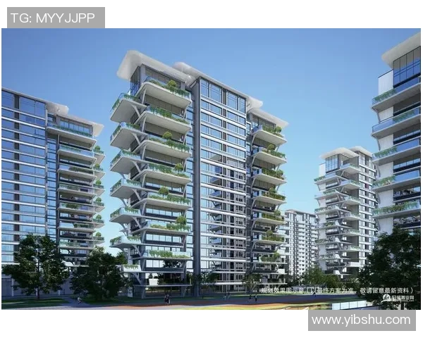 吴川足球星的崛起与中国足球未来发展的潜力探索