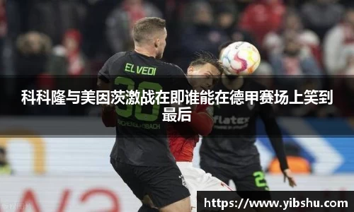 乐发Vll官网